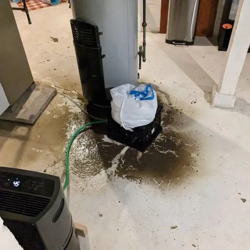 Sewage Backup Cleanup Service in Hillsdale, NJ